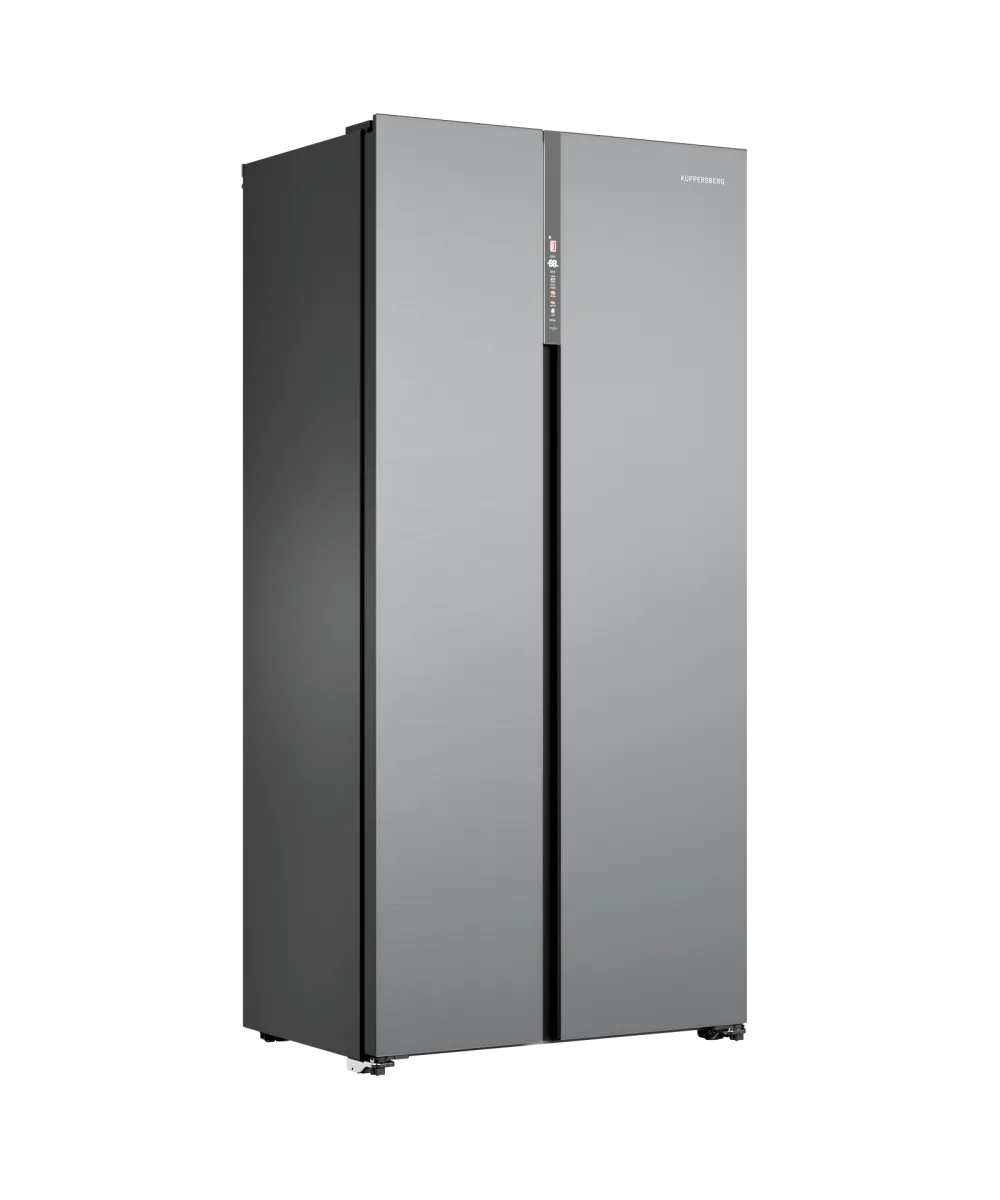 Freestanding refrigerator RFSN 1990 SG