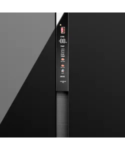 Freestanding refrigerator RFSN 1990 BG