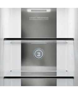 Freestanding refrigerator RFSN 1990 SG