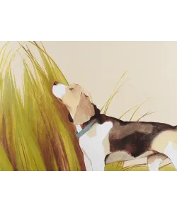 Freestanding refrigerator NFM 200 CG серия Охота