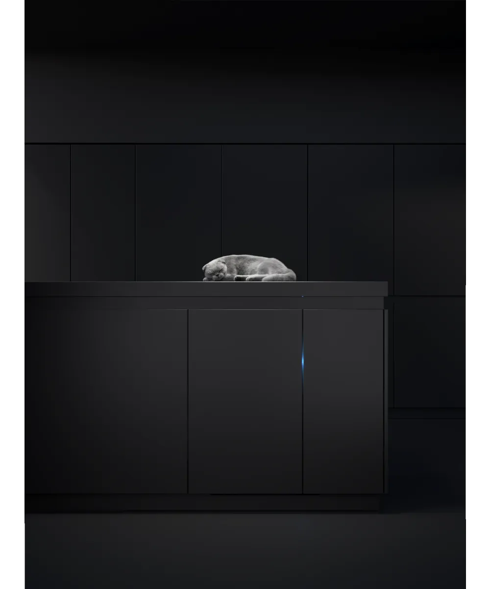 Посудомоечная машина встраиваемая GIM 4595