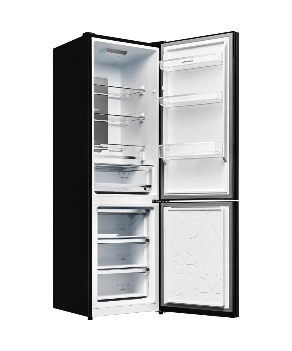 Freestanding refrigerator RFCN 2013 BG
