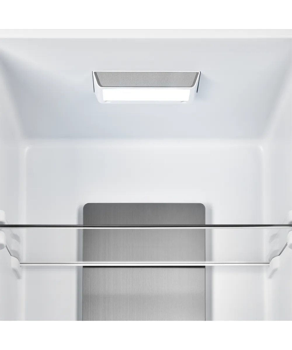 Freestanding refrigerator RFCN 2013 BG