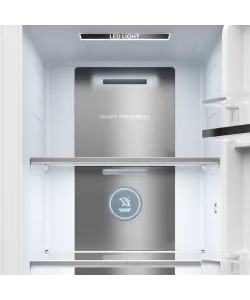 Freestanding refrigerator RBSN 1892 X