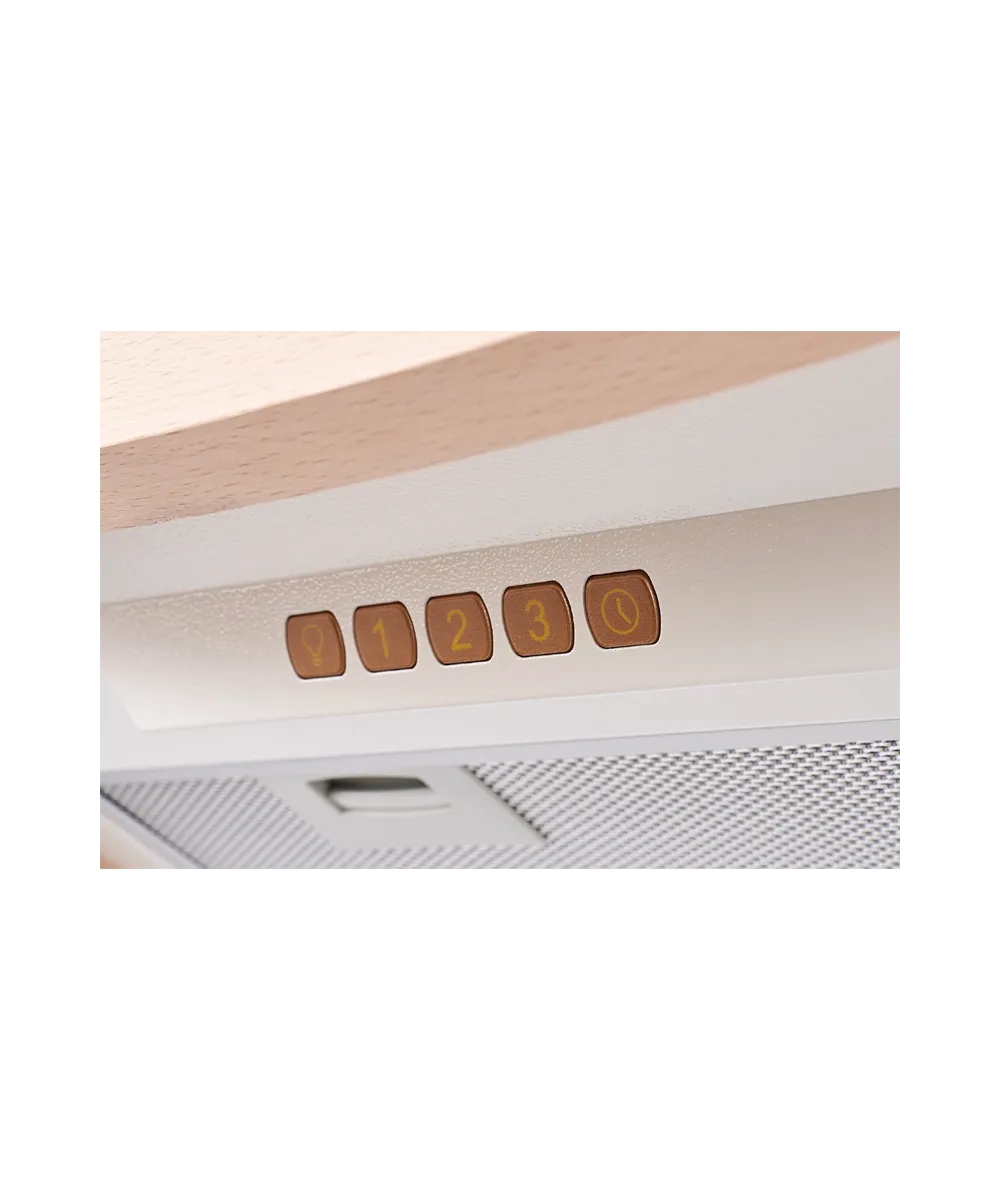 Dome hood OLIMPIA 60 WM B